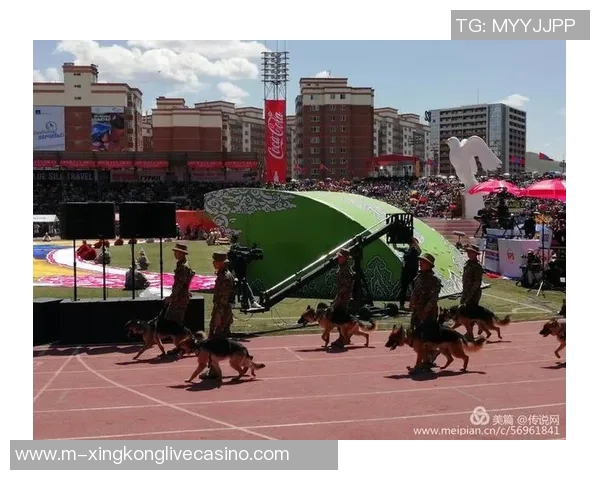 蒙古足球崛起之路：从草原到国际赛场的奋斗与荣耀